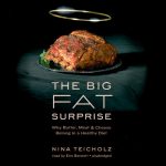 The Big Fat Surprise AUDIOBOOK by Nina Teicholz