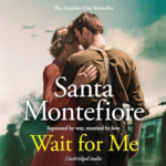 Wait for Me by Santa Montefiore