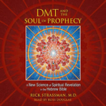 DMT and the Soul of Prophecy by Rick Strassman M.D.