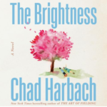 The Brightness by Chad Harbach